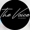 Логотип телеграм канала @thevoicepr — Пиар со звездочкой*