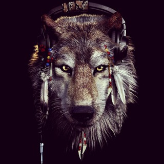 Logo des Telegrammkanals thewolfbyyourside - TheWolfByYourSide
