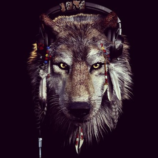 Telegram channel TheWolfByYourSide logo