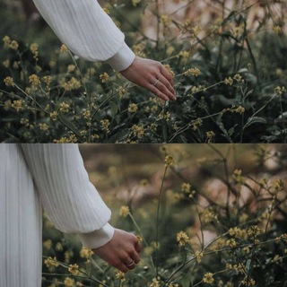 لوگوی کانال تلگرام thezyu1 — ــ زَهْـرَة.