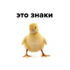 Логотип телеграм канала @thiisznakk — это знаки