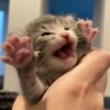 Логотип телеграм канала @thinkingisforfools — ддд