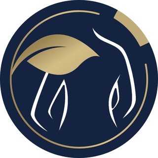 Логотип телеграм канала @thinkmeta_health_wellness — АЭК Health&Wellness