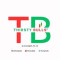 Logo saluran telegram thirstybulls — ThirstyBulls™: Financial Academy