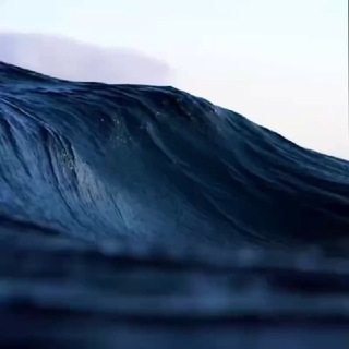 Telegram channel WAVE logo