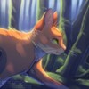 Логотип телеграм канала @thisiswarriorscats — Wᴀrriᴏrs Cᴀᴛs | Коты-Воители | @TIWC