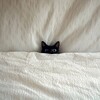 Логотип телеграм канала @thisnodrama — nodrama
