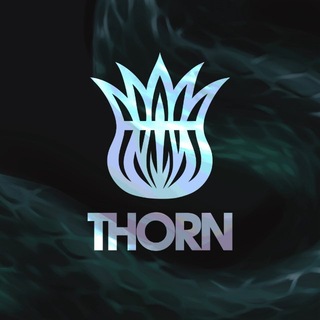 Логотип телеграм канала @thorn_thistle — Тёрн | THORN