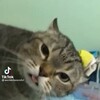 Логотип телеграм канала @thotslayer14 — слеер