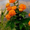 Логотип телеграм канала @thtlu_56cu2ywq6 — Реальная жизнь на пенсии
