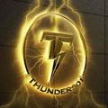 Telegram channel THUNDERS01 logo