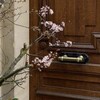 Логотип телеграм канала @thvsevv — Севавещает