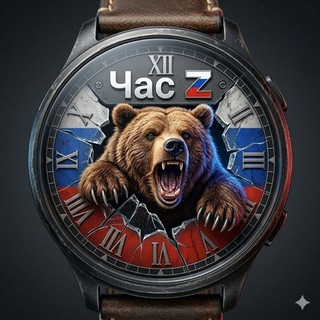 Telegram channel Час 🇷🇺Z🇷🇺 logo
