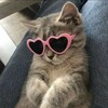 Логотип телеграм канала @ti_znaesh_chto — ты знаешь что