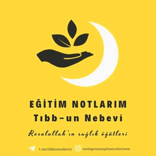 Telgraf kanalının logosu tibbunnebevii — Eğitim Notlarım📒🖊