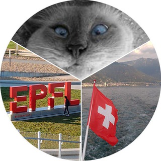 Logotipo do canal de telegrama tiberiusru - Tiberius