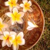 Логотип телеграм канала @tibetan_bowls — ✨ Sound Healing: поющие чаши 🕉
