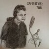 Logo of telegram channel tibiteam — Tibi