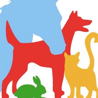Telegram channel Tierheilpraxis am Lemberg 🐾❤️ logo