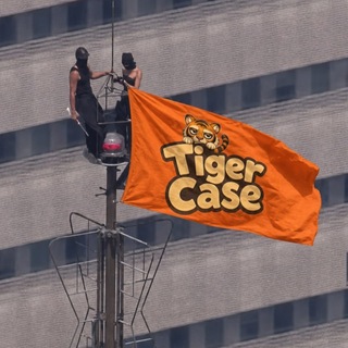 Telegram channel Tiger News logo