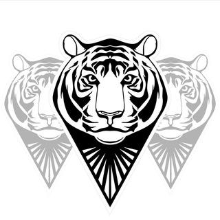 Логотип телеграм канала @tiger_shop_almet — vape shop Tiger🐯