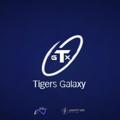Logo saluran telegram tiger_galaxy — 𝖳𝗂𝗀𝖾𝗋𝗌 𝖦𝖺𝗅𝖺𝗑𝗒 𝖲𝖢🇨🇵