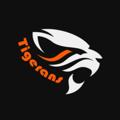 Logo saluran telegram tigeransorg — تایگرانس زاپاس