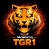 Логотип телеграм канала @tigercasinozerkalo — Tiger casino / Тайгер казино