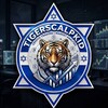 Логотип телеграм канала @tigercid — Tigerscalpkid