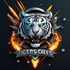 Logo of telegram channel tigergemcalls — TIGER CALL
