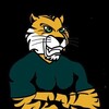 Logo of telegram channel tigerinsightcommunity — Tiger Insight Community™️
