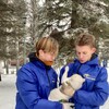 Логотип телеграм канала @tigers565 — New эра блуждений