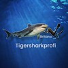 Логотип телеграм канала @tigersharkprofi — Остров Тигровых Акул