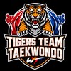 Логотип телеграм канала @tigersteamwt — •°TIGERS TEAM°•