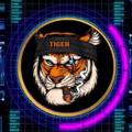 Logo saluran telegram tigertranig — CRYPTO TIGER 🐅🐅