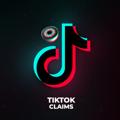 电报频道的标志 tigtogtoe — TikTok Claims
