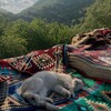 Логотип телеграм канала @tihaya_veraa — тихая вера.
