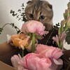 Логотип телеграм канала @tihoe_mesto11 — заметки أ