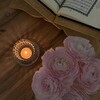 Логотип телеграм канала @tikhoemestoo — мое тихое место