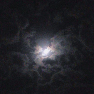 Логотип телеграм канала @tiktok_0232 — TikTok