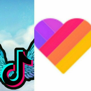 Логотип телеграм канала @tiktok_likee_video — Tiktok likee video