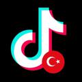 Logo saluran telegram tiktok_turk — TikTok Turk 🌙