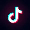 Logo of telegram channel tiktokchicks — TikTok leaks🎥