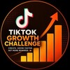 Логотип телеграм канала @tiktokcreatorgrowthchallange — TikTokChallange
