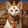 Логотип телеграм канала @tiktokorean — Корейский тикток