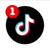 Logo of telegram channel tiktokpravda — TIK TOK
