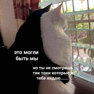 Логотип телеграм канала @tiktoksukablyat — лайкнули тикток
