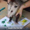 Логотип телеграм канала @tikva1risuet — тыква рисует
