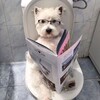 Логотип телеграм канала @tim3warpang3ls — вроде про приятное