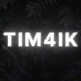 Логотип телеграм канала @tim4ik666 — TIM4IK